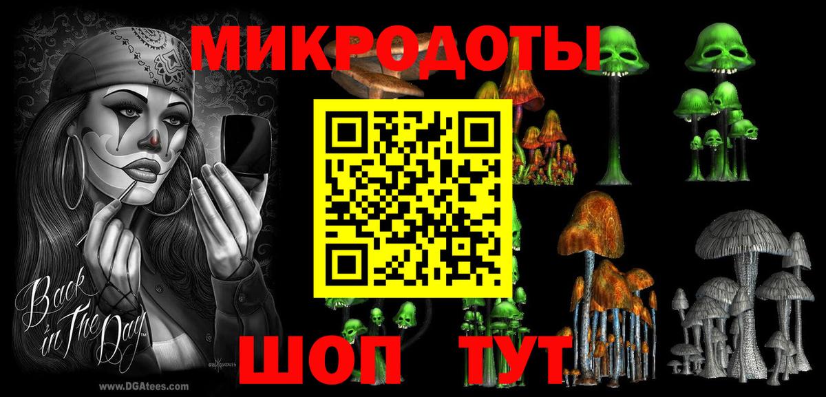 Псилоцибиновые грибы Psilocybe Топки